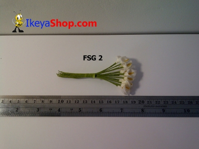 FSG 2  large2